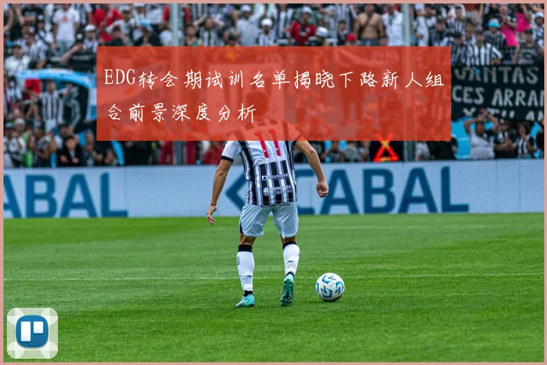 EDG转会期试训名单揭晓下路新人组合前景深度分析
